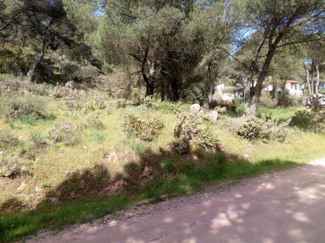 Terreno Urbanizable En venta en Trassierra - Las Jaras, Córdoba photo 0