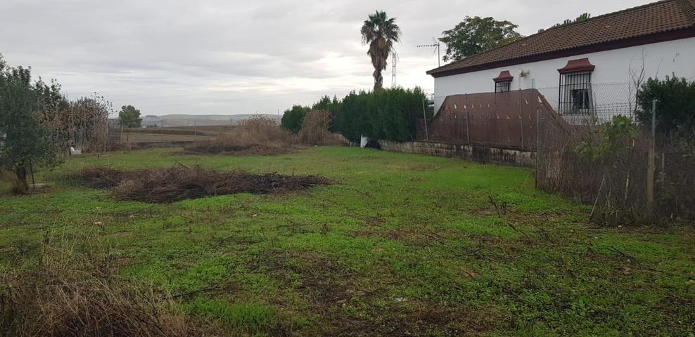 TERRENO INDUSTRIAL JUNTO A LA TORRECILLA. photo 0