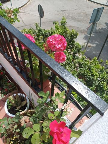 Casa En venta en Barrio Del Naranjo, Córdoba photo 0