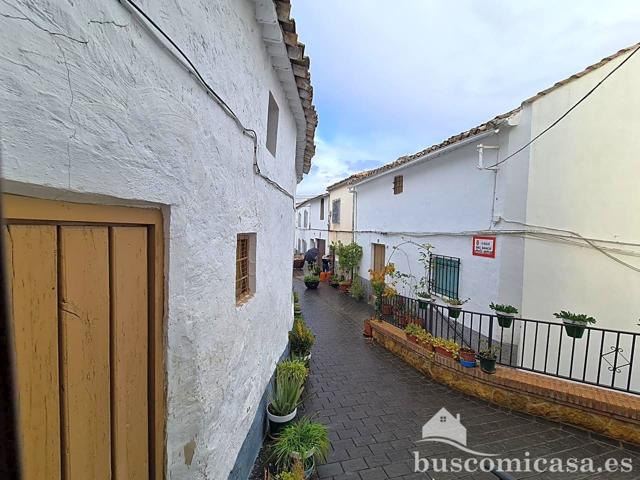 Casa tradicional de pueblo con 5 dormitorios, muy bien conservada en calle emblemática de Peal de Becerro photo 0