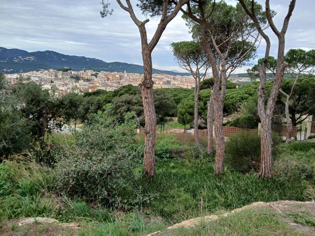 Terrenos Edificables En venta en Sant Feliu de Guíxols photo 0