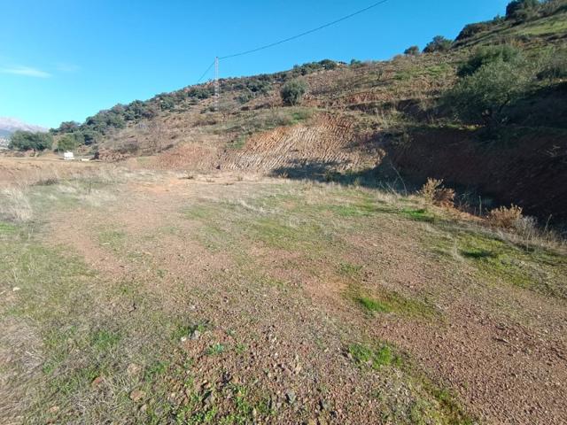 Terreno Urbanizable En venta en Casabermeja photo 0