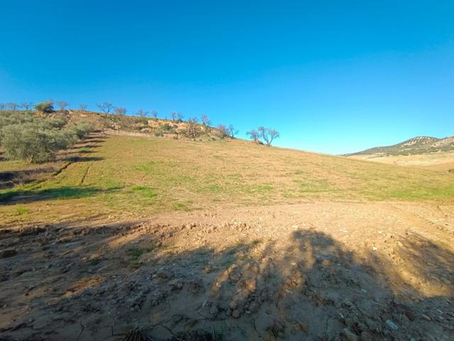 Terreno Urbanizable En venta en Casabermeja photo 0