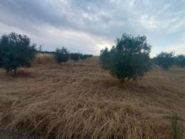 Terreno Urbanizable En venta en Casabermeja photo 0