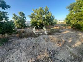 TERRENO EN VENTA photo 0