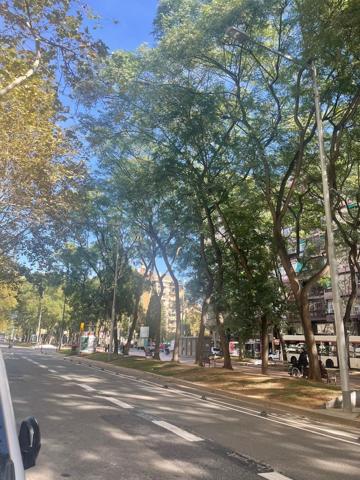 Piso En venta en la Nova Esquerra de l'Eixample photo 0