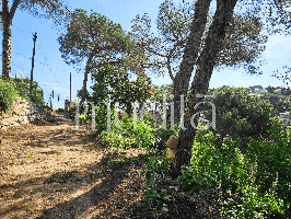 Suelo residencial - Argentona photo 0