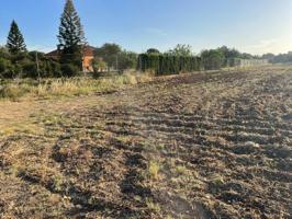 Terreno en venta en Carmona photo 0