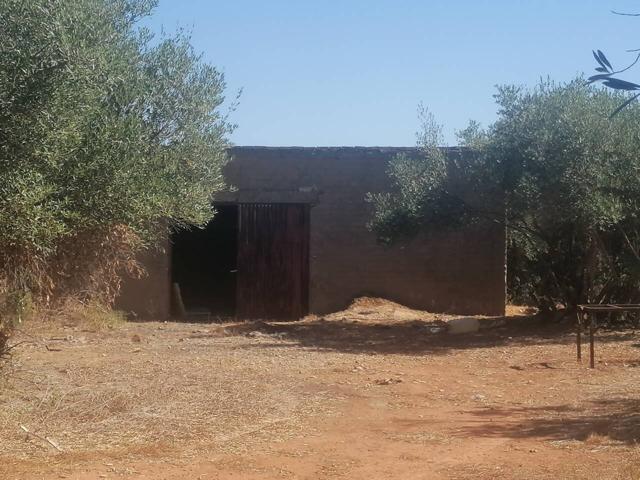 Terreno en venta en Carmona photo 0