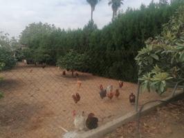 Terreno en venta en Carmona photo 0