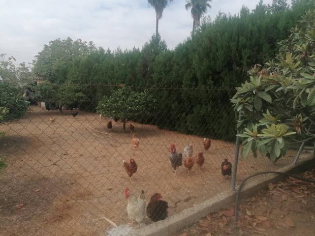 Terreno en venta en Carmona photo 0