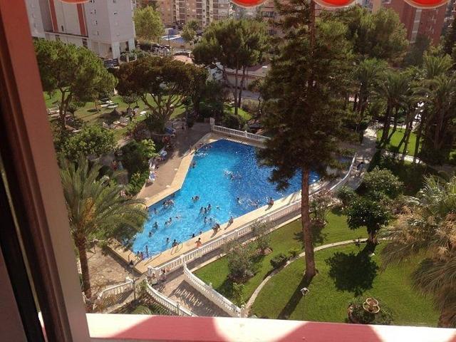 Piso En alquiler en Benidorm photo 0