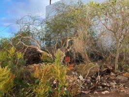VENTA DE TERRENO EN SAN MIGUEL DE ABONA photo 0