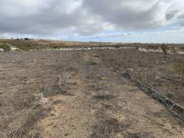 Terreno en venta en El Salto-Los Blanquitos-Chimiche(38617) photo 0