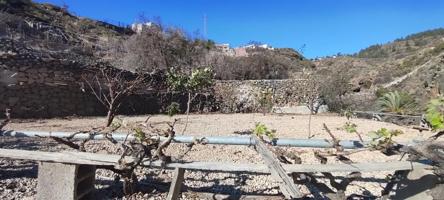 Terreno rústico en Granadilla con acceso rodado photo 0
