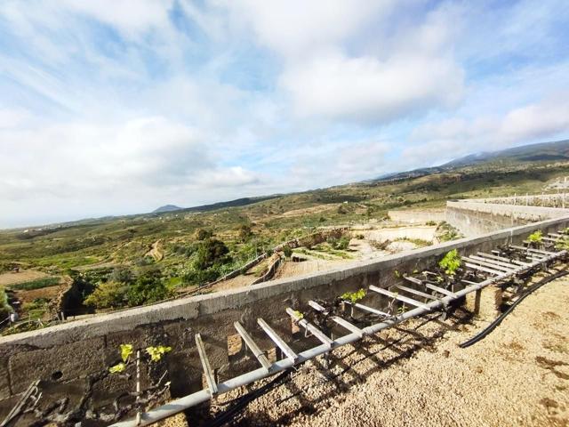 Finca con producción de vino con lagar en el Río de Arico photo 0