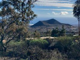Bonito terreno en zona las Chozas, Granadilla de Abona photo 0