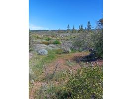 Venta de terreno en Guía de Isora photo 0