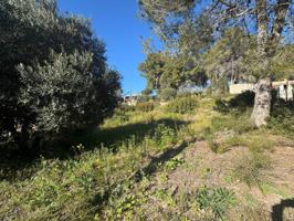 Terreno en Venta de 700 m² en La Cativera photo 0