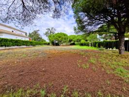 Solar calle Araucaria, La Dehesa Golf-Aljaraque (Huelva) photo 0