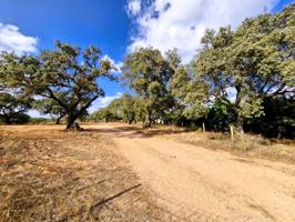 Terreno A-495, San Bartolomé de la Torre (Huelva) photo 0