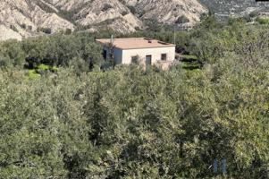 Piso En venta en Alta, Alcolea photo 0