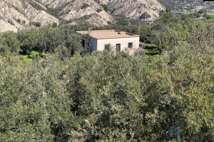 Piso En venta en Alta, Alcolea photo 0