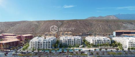 Promoción en el Palm Mar photo 0