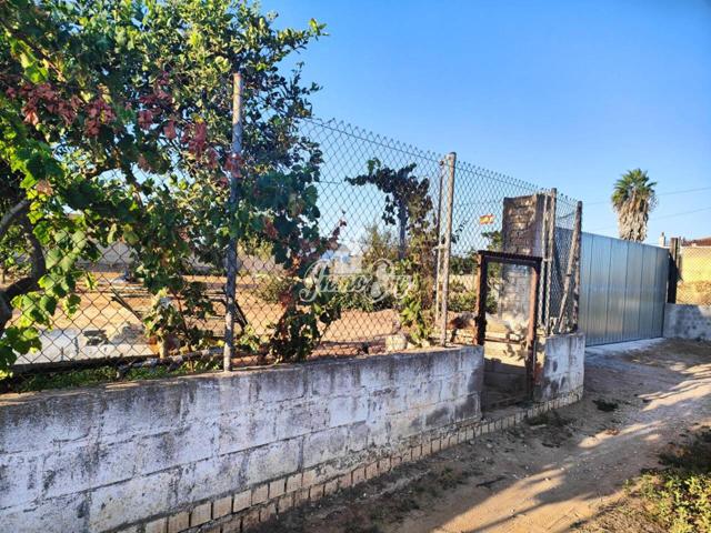 Parcela Rústica, zona La Jara con construcción, agua y luz. photo 0
