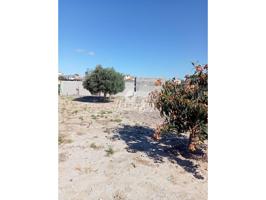 PARCELA CON AGUA Y LUZ, RUSTICA photo 0