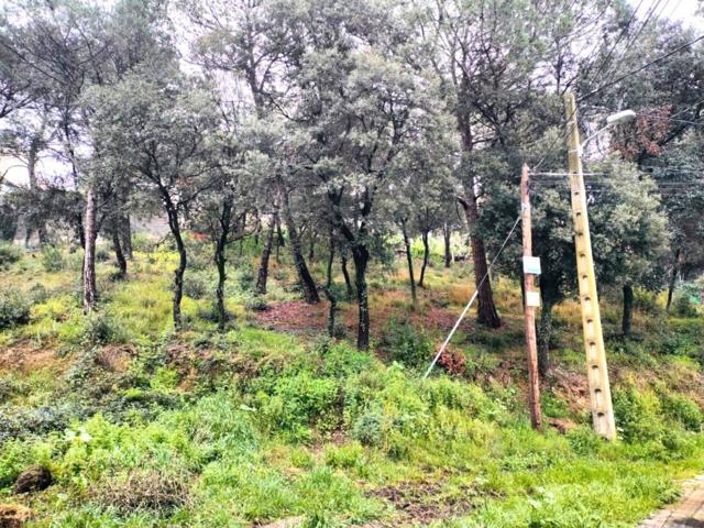 Terreno en venta en Piera photo 0