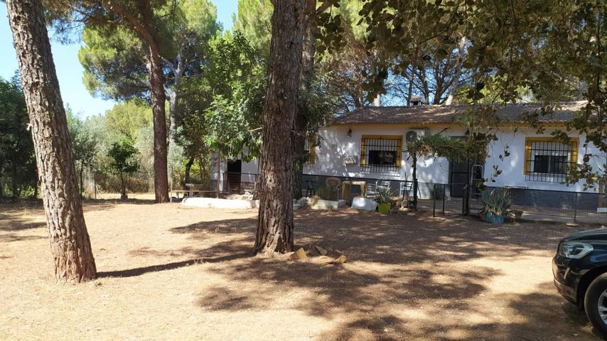 CASA EN ZONA ASSUAN photo 0