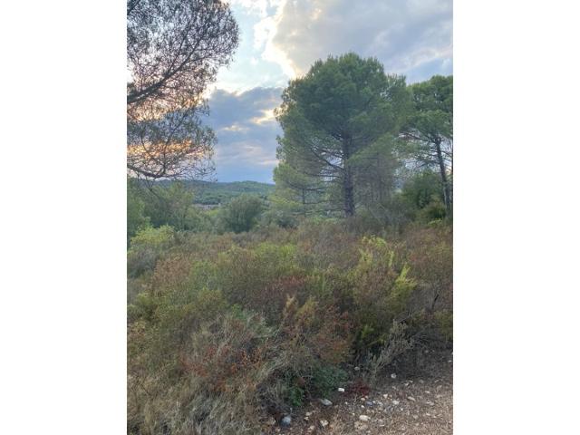 Terreno Urbanizable En venta en La Bisbal D'Empordà photo 0