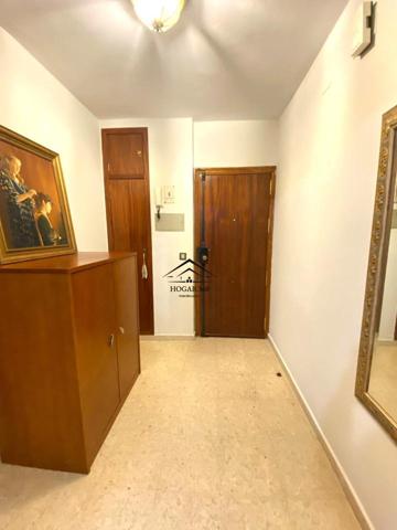 Exclusivo Alfonso IX - Biblioteca-Cánovas photo 0