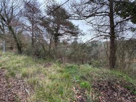 Terreno Urbanizable En venta en Moià photo 0