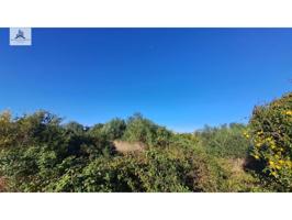 Terreno industrial en venta en Zona Nord-Oest photo 0