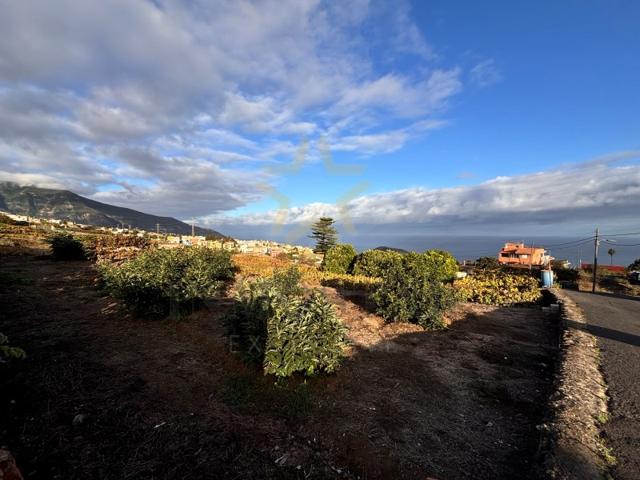 Terreno Urbanizable En venta en La Orotava photo 0