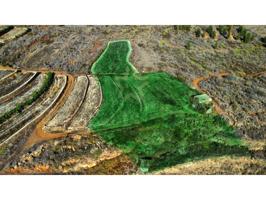 Terreno Urbanizable En venta en Vilaflor De Chasna photo 0