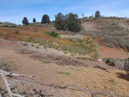 Terreno en venta en Santa María de Guía de Gran Canaria photo 0