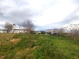 PARCELA EN TOL, CASTROPOL photo 0