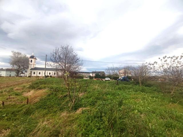 PARCELA EN TOL, CASTROPOL photo 0