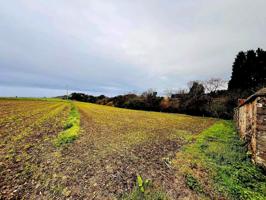 Excelente Parcela en Ballota (Cudillero) photo 0