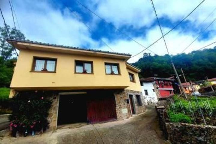 CASA DE ALDEA EN PAXÍO, MIERES photo 0