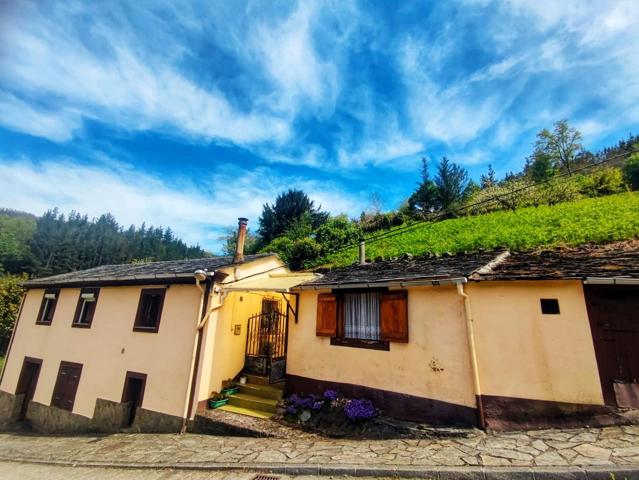 Casa rural con terreno en Taramundi – Perfecta para vivir o para turismo rural photo 0