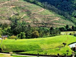 ESTUPENDO TERRENO EDIFICABLE EN EL ENCANTADOR PUEBLO DE VILLANUEVA (TREVIAS) photo 0