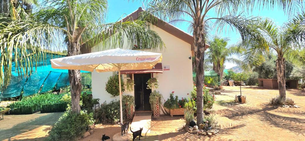 IMPRESIONANTE FINCA EN MONDA photo 0