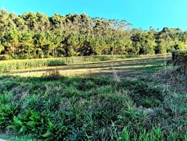 TERRENO URBANIZABLE EN EL CONCEJO DEL FRANCO photo 0