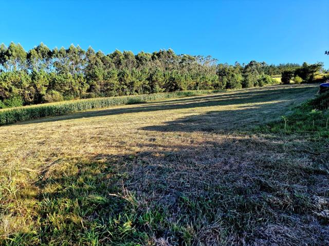 TERRENO URBANIZABLE EN EL CONCEJO DEL FRANCO photo 0