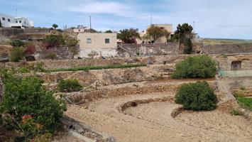 Finca con casa a reformar en La Medida, Güimar photo 0
