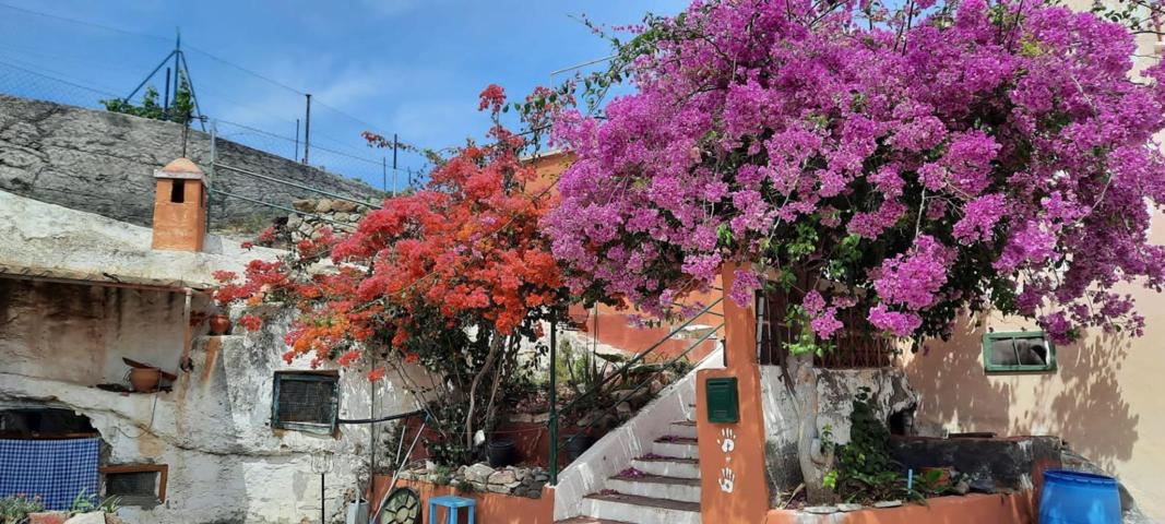 Finca con casa a reformar en La Medida, Gimar photo 0